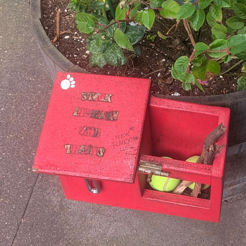 red box labeled 'stick library and treats'. Half of it is covered and latched. I didn't check, but I guess that's where they keep the treats, with a latch to keep out raccoons. The other half is open. It contains a couple of stubby stick fragments; also a couple of tennis balls