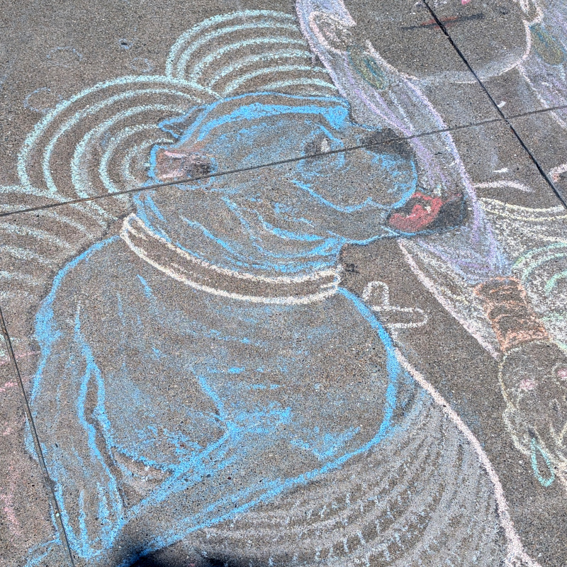 sidewalk chalk art: zooming in on the head of the loooong dog