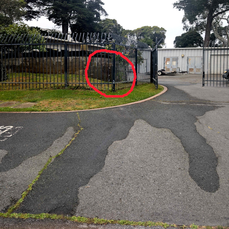 altered photo: view of a bit of road, a driveway, some fence, and (if you squint and peer really hard) a wire-frame garden ornament with some vines growing on it. the alteration: someone circled the ornament thingy