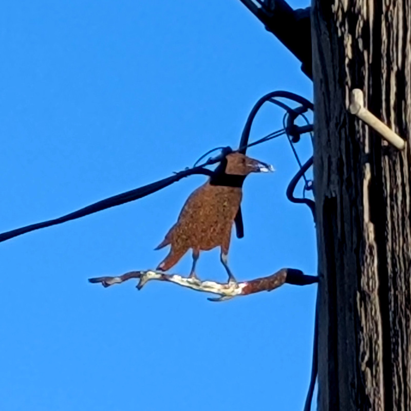 zooming in on the fake crow, looking at it from other direction. looks less realistic, maybe the other side is painted?