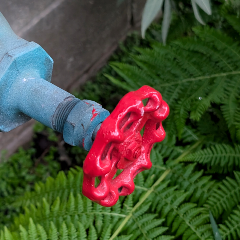 bright red faucet knob against a background of out-of-focus fern fronds