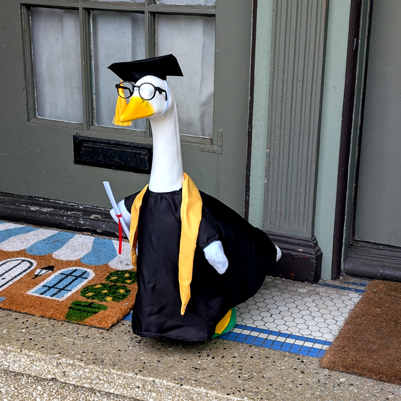 front porch decorated with a porcelain(?) goose statue appropriately attired in a graduation robe, mortarboard hat, and carrying a little diploma