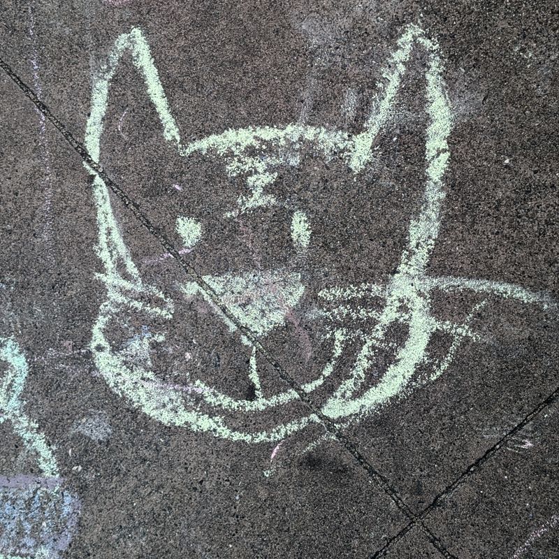 sidewalk-chalk art: face of a smiling cat