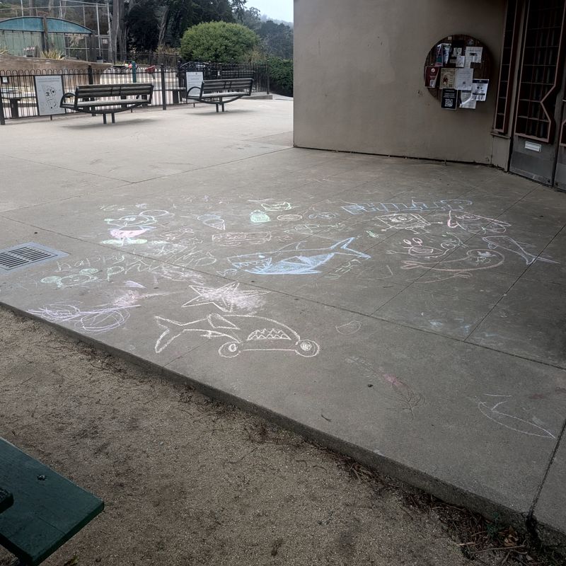 patch of sidewalk covered with little chalk drawings. Kind of an optimistic cartoony line art look, idk i'm not an art expert