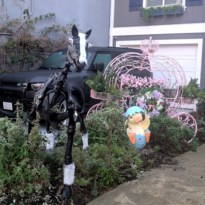 strip of front yard in front of vehicle parked in house driveway. the yard strip has some decorations. closest to the viewer is a horse-skeleton Hallowe'en decoration, the kind that inexplicably has ears. It's been painted black and augmented with ghostly white hair where some horses have long hair: the mane plus feathering on the lower legs. Also the eyebrows. (I forget if there was also a tail, dang.) Next a painted-plaster-statue showing a kinda-cartoon-y looking duckling hatching from a pastel-painted Easter egg. Last we have a wrought-iron planter shaped like Cinderella's carriage painted bright pink and carrying various flowers and ferns and such. Didn't make it into the photo: there's a concrete-looking sea serpent which would be the standout detail in almost any other yard, but kinda faded into the background in this context.