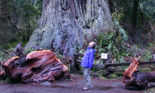 [Photo by Tom Lester: Larry Hosken at Big Tree]